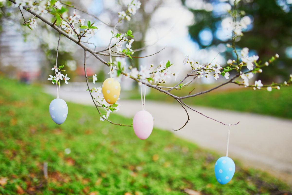 Elevate Your Easter | Making the Most Of Your Outdoor Space