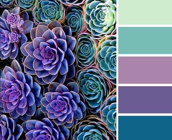 Colour Of The Year 2018