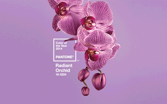 Pantone Colour of the Year 2014