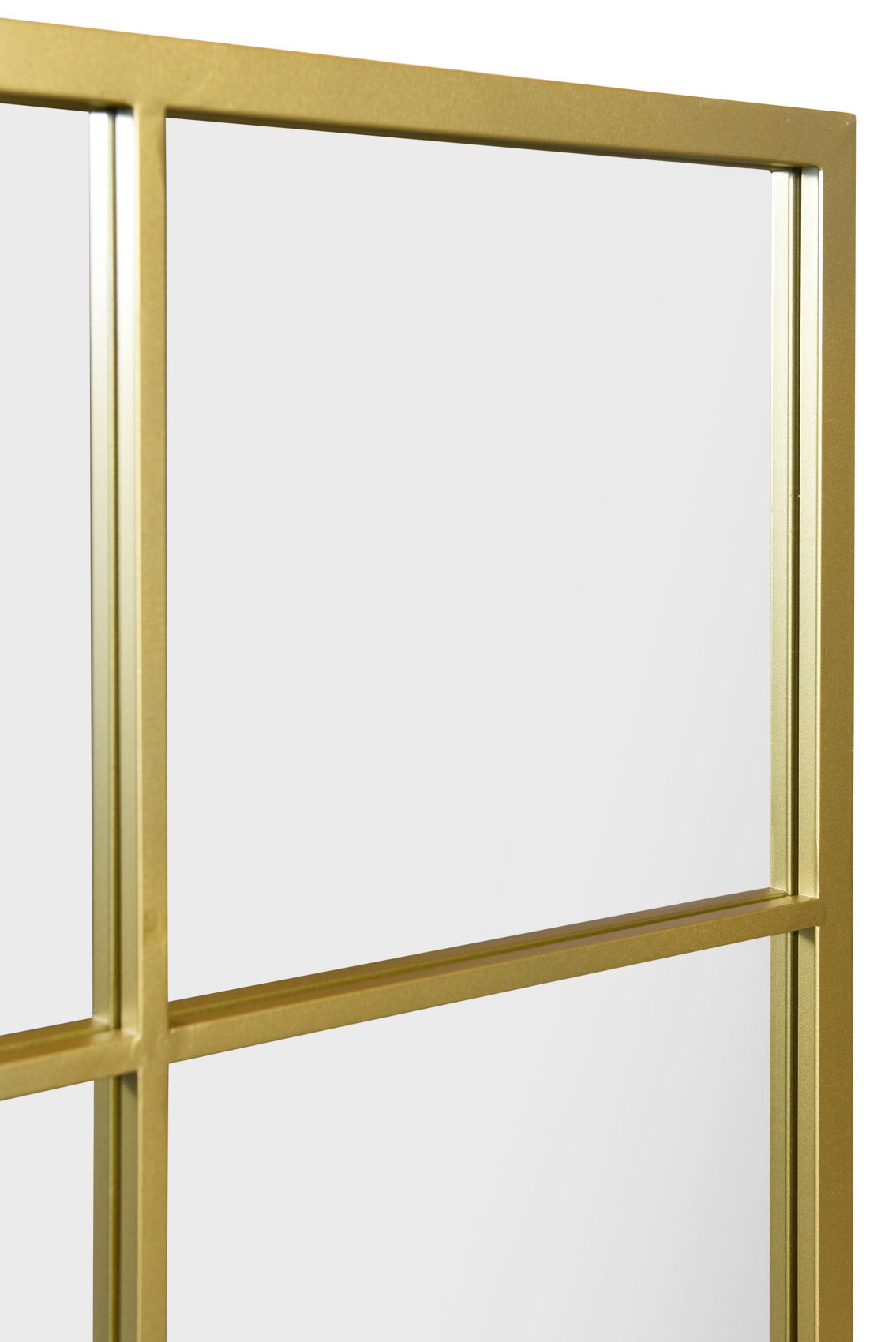 Modern Outdoor Vertical Mirror (Gold Frame)